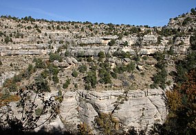Toroweap Formation in Walnut Canyon, east of Flagstaff, Arizona Darker middle section is Toroweap: above: (3): Kaibab Limestone; below: (1): Coconino Sandstone (showing fossil dunes)-(note erosion of dunes compared to horizontal bedding of Kaibab Limestone)