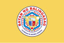 Flag of Balingasag