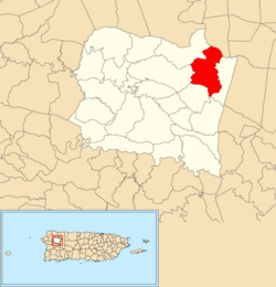 Location of Guajataca within the municipality of San Sebastián shown in red