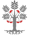 Latina: Sorbus aucuparia English: European Rowan Svenska: Rönn