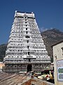Arunachaleshwarar Temple, Thiruvannamalai(Fire)