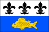 Flag of Řepice