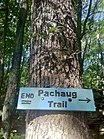 Pachaug Trail – Terminus at Green Fall Pond, Voluntown, CT.