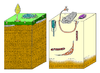 Diagram of benthic biotic changes during the Cambrian substrate revolution