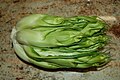Puntarelle, the prized central stalks of the Catalogna endive[7]
