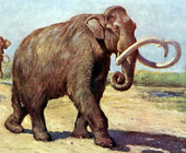 Painting of a family of mammoths walking