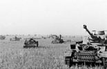 German tanks on the southern side of the Kursk salient at the start of Operation Citadel