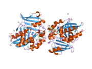 2pfr: Human N-acetyltransferase 2