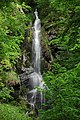 Waterfall Plästerlegge near Wasserfall