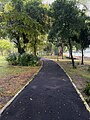 A walking path in the park