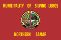 Flag of Silvino Lobos