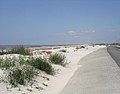 The beach between Johnson Bayou and Holly Beach prior to Hurricane Rita in 2005