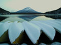 Shojiko at Fuji Five Lakes