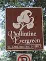 Vollintine Evergreen