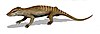 A fossil life restoration of