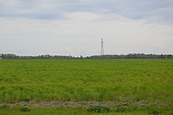 Fields near State Route 53