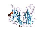 1yjl: Reduced Peptidylglycine alpha-Hydroxylating Monooxygenase in a new crystal form