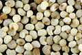 White poppy seeds, close up