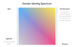 A gender spectrum graph with Masculinity on the Y axis and Femininity on the X axis.