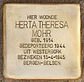 Detail: Stolperstein in Leiden for Herta Theresa Mohr.