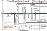 Family tree of Laestadianism in Finland and Karelia. Includes defunct groups.