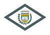 Flag of Campo Mourão