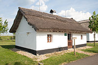 Traditional house from Pócspetri