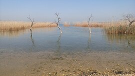 Lake Pikrolimni, known for its high salinity and pelotherapeutic properties, as well as an endangered bird habitat