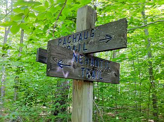 Nehantic & Pachaug shared trail portion's western junction.
