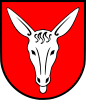 Zaklikow coat of arms, Topór