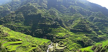 Ancient mountainside rice terraces at Banaue, Philippines