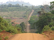 An unpaved red dirt road passing through a forest in a mountainous landscape, with a house standing apart from the road to the left