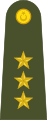 Yüzbaşı Turkish Army