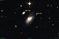 NGC 1241 by DSS