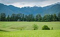 Meadows in Shangarh, Himachal Pradesh, India