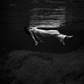 Image 73Weeki Wachee spring, Florida at Weeki Wachee Springs, by Toni Frissell (restored by Trialsanderrors) (from Wikipedia:Featured pictures/Artwork/Others)