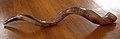 Image 12A kudu horn (from Wood Badge)