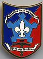 Insignia of the base and training company of the 43rd Infantry Regiment (around 1990?)