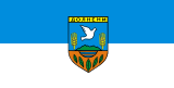 Flag of Municipality of Dolneni