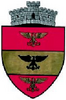 Coat of arms of Vulturești