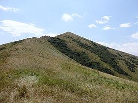 Hilltop of Artanish peninsula
