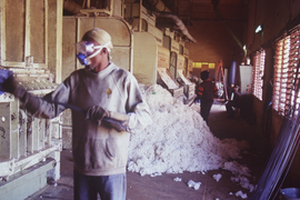 Modern cotton processing at CMDT