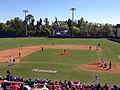 2013 Florida Gators baseball team in action.