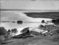 The Yates property at Parengarenga Harbour, 1910