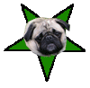 The Pug Barnstar Hey buddy, this is just to say thank you for putting the list of films featuring pugs into my userspace. You're a champ. I was telling my wife about it as we were making dinner and we are now going to start watching them all. I'll let you know how we get on. See ya around, Hands of gorse, heart of steel (talk) 22:27, 14 December 2009 (UTC)