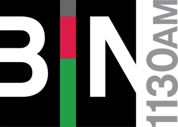 File:WDFN BIN 1130 logo.webp