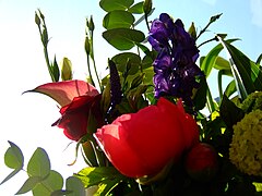 A bouquet arrangement against a blue sky