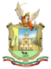 Coat of arms of San Miguel