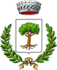 Coat of arms of Borgo San Martino