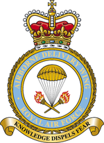 Airborne Delivery Wing badge